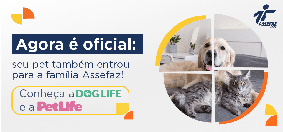 Assefaz Social firma parceria com Dog Life e Pet Life para planos de assistência pet